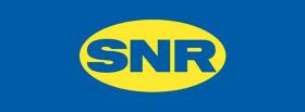 Snr R16603 - KITS RODAMIENTO RUEDA