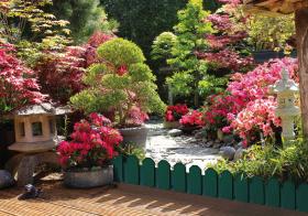 Suministros y Bricolaje 463660 - BORDURA SIERRA BORDER 20X80 VERDE