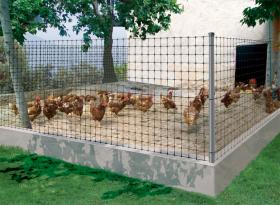 Suministros y Bricolaje 465498 - MALLA GALLINERA AVINET 36 NEGRA 2X2