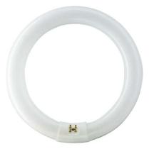 Suministros y Bricolaje 588800 - TUBO FLUORESCENTE CIRCULAR L22/865-